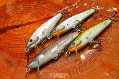 wobler sandacz boleń